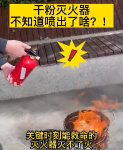 圖片12
